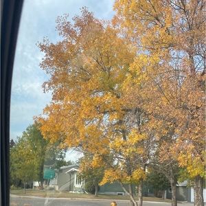 Meet your Posher, Tamara